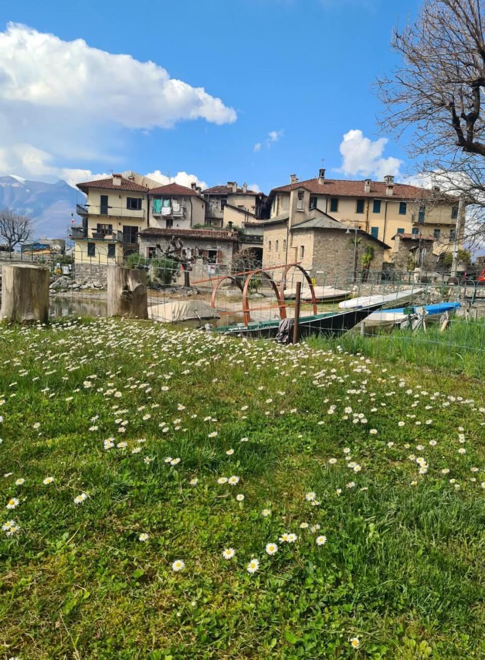 Apartment L'Ulivo Lake View In Private Street Lierna Extérieur photo